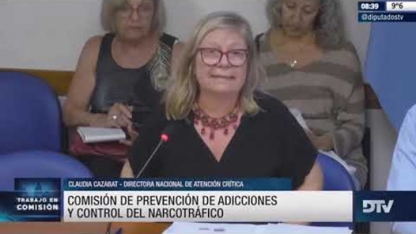 Diputados: Organizaciones y expertos discutieron en comisión la situación actual de la ley sobre Salud Mental